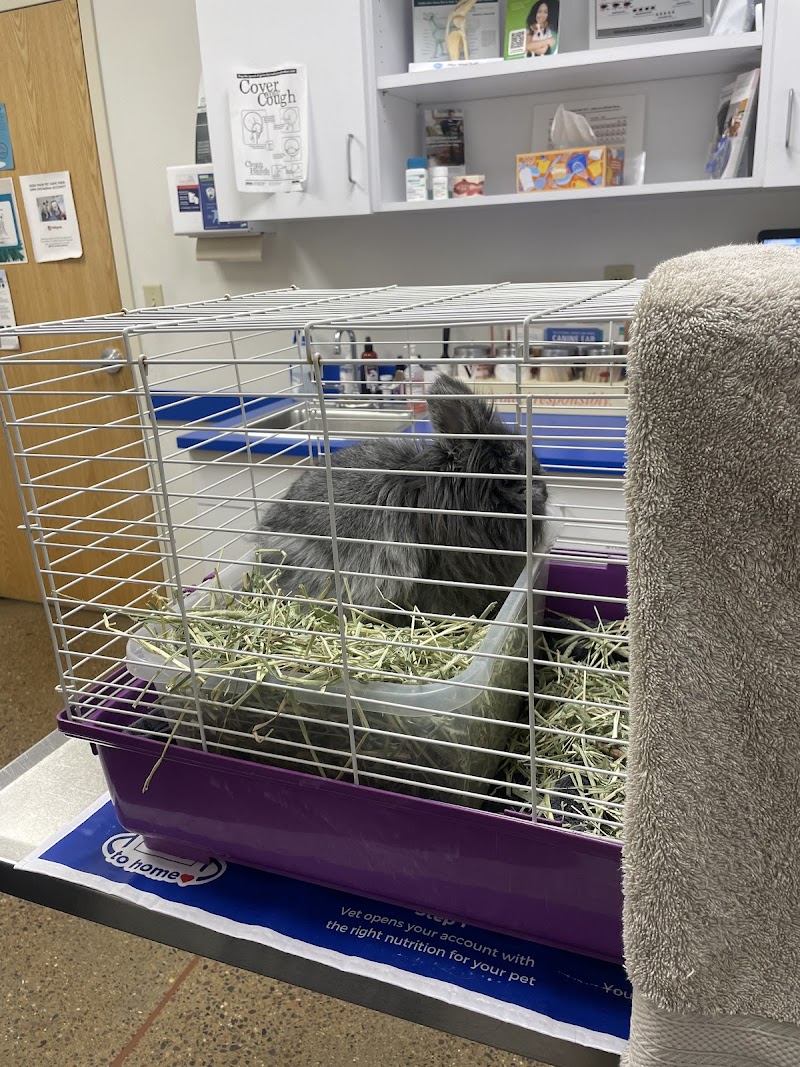 Pet Central Animal Hospital