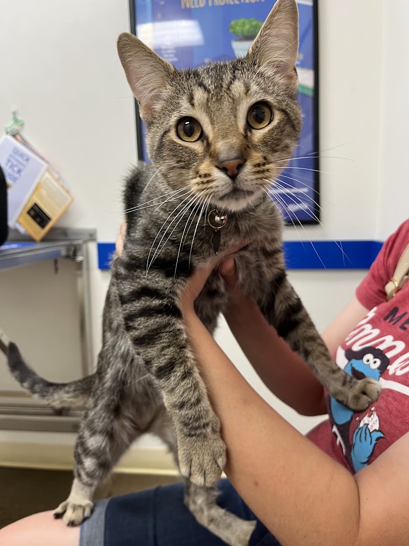 Pet Central Animal Hospital