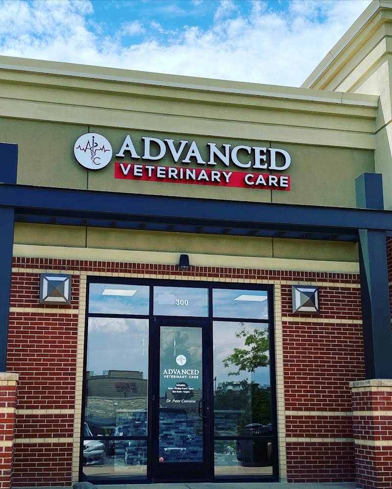 Advanced Veterinary Care of Greenwood Village - Greenwood Village
