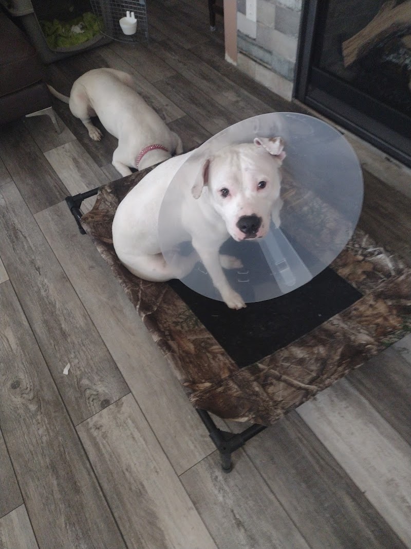 Advanced Veterinary Care of Greenwood Village