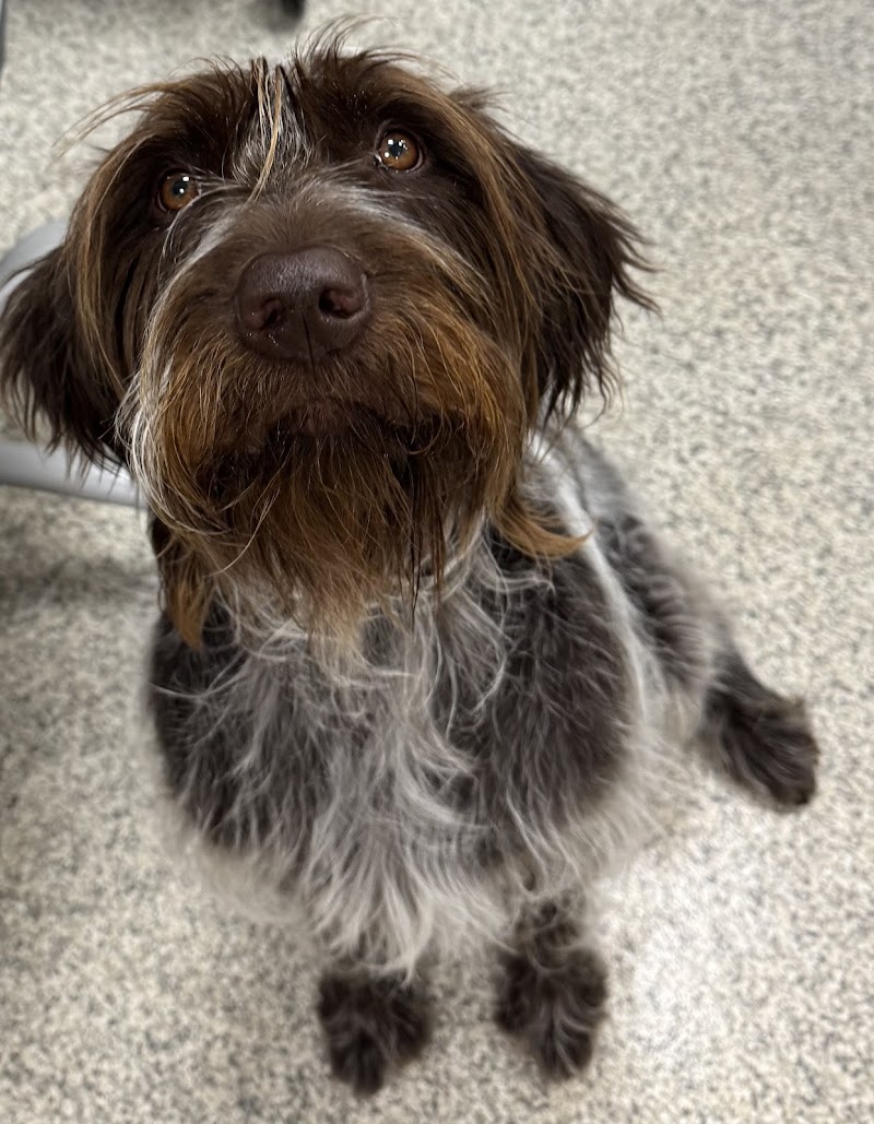 Advanced Veterinary Care of Greenwood Village