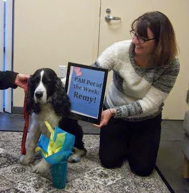 Pacific Animal Hospital