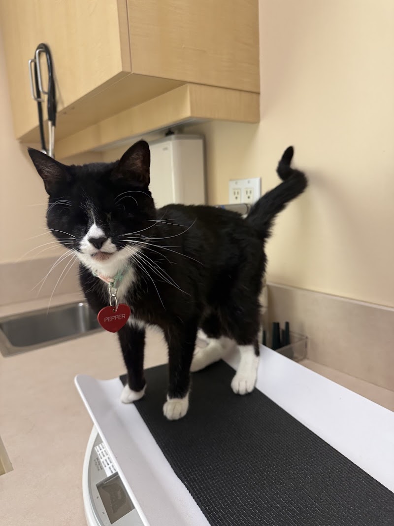 Pacific Animal Hospital