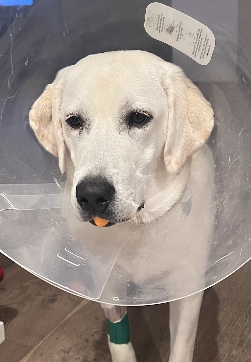 Laurel Pet Hospital