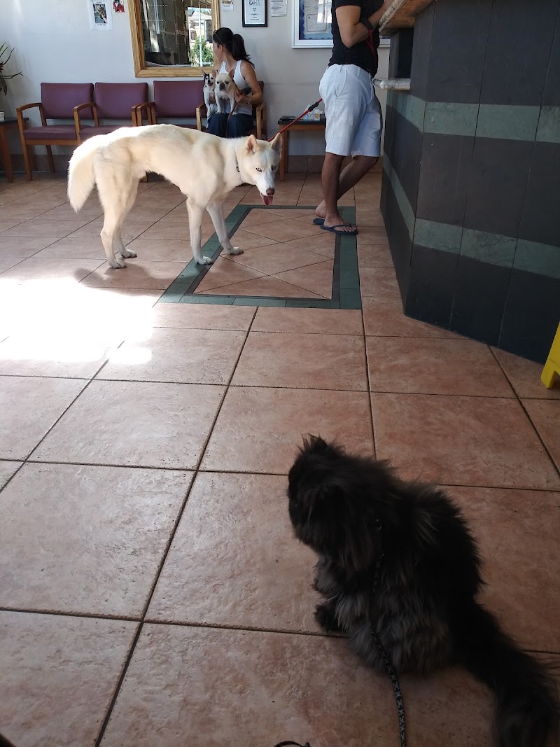Laurel Pet Hospital