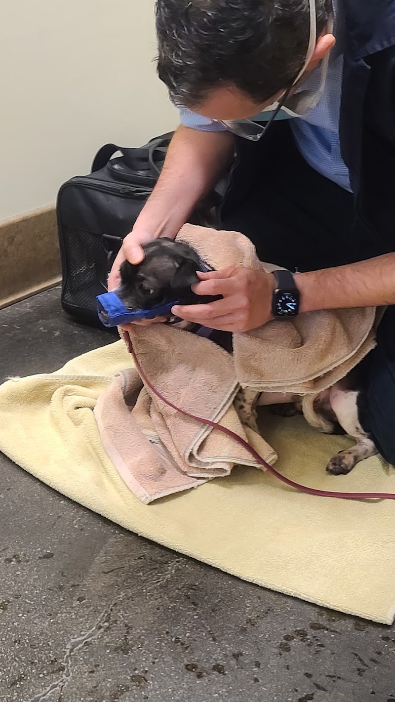 Primary Care Animal Hospital