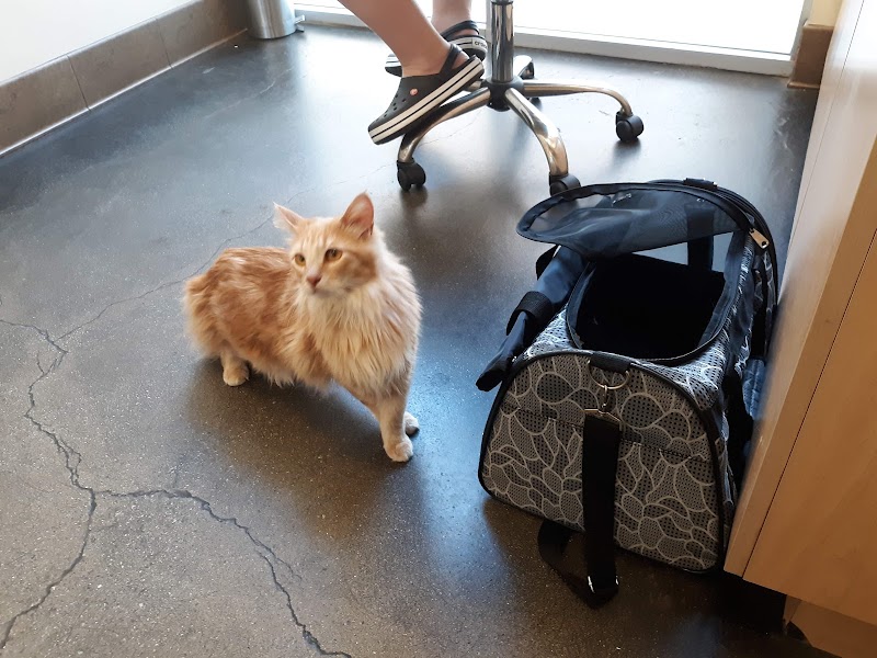 Primary Care Animal Hospital