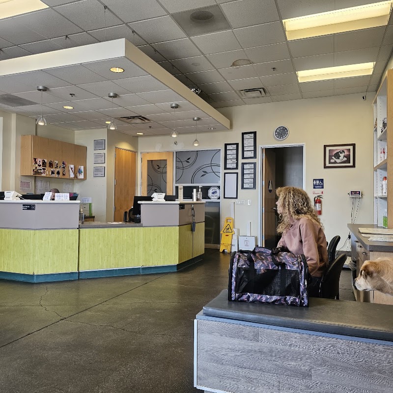 Primary Care Animal Hospital