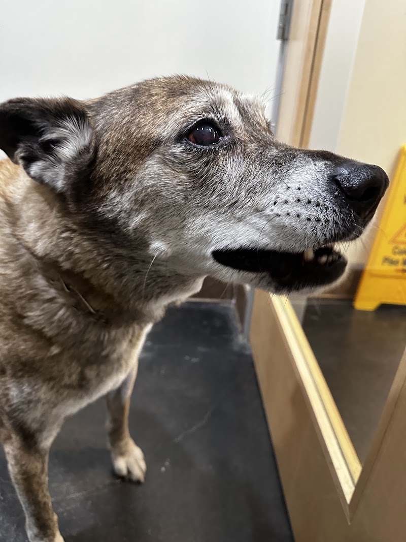 Primary Care Animal Hospital