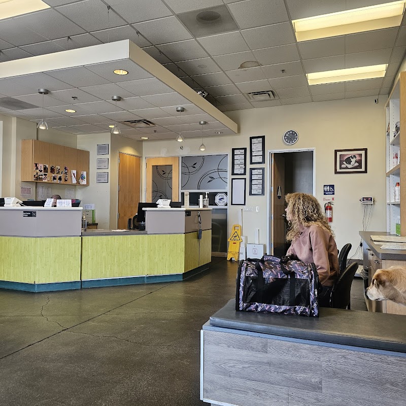 Primary Care Animal Hospital