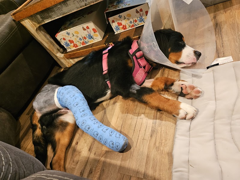 Valley Central Veterinary Referral and Emergency Center - Philadelphia