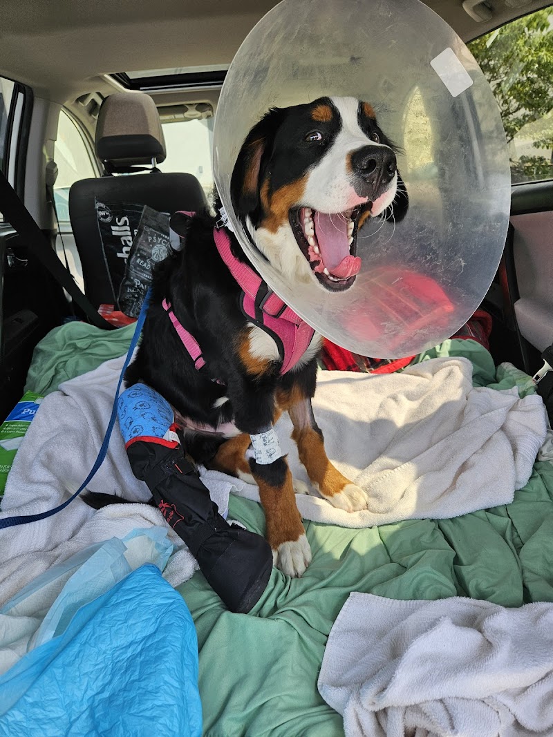 Valley Central Veterinary Referral and Emergency Center