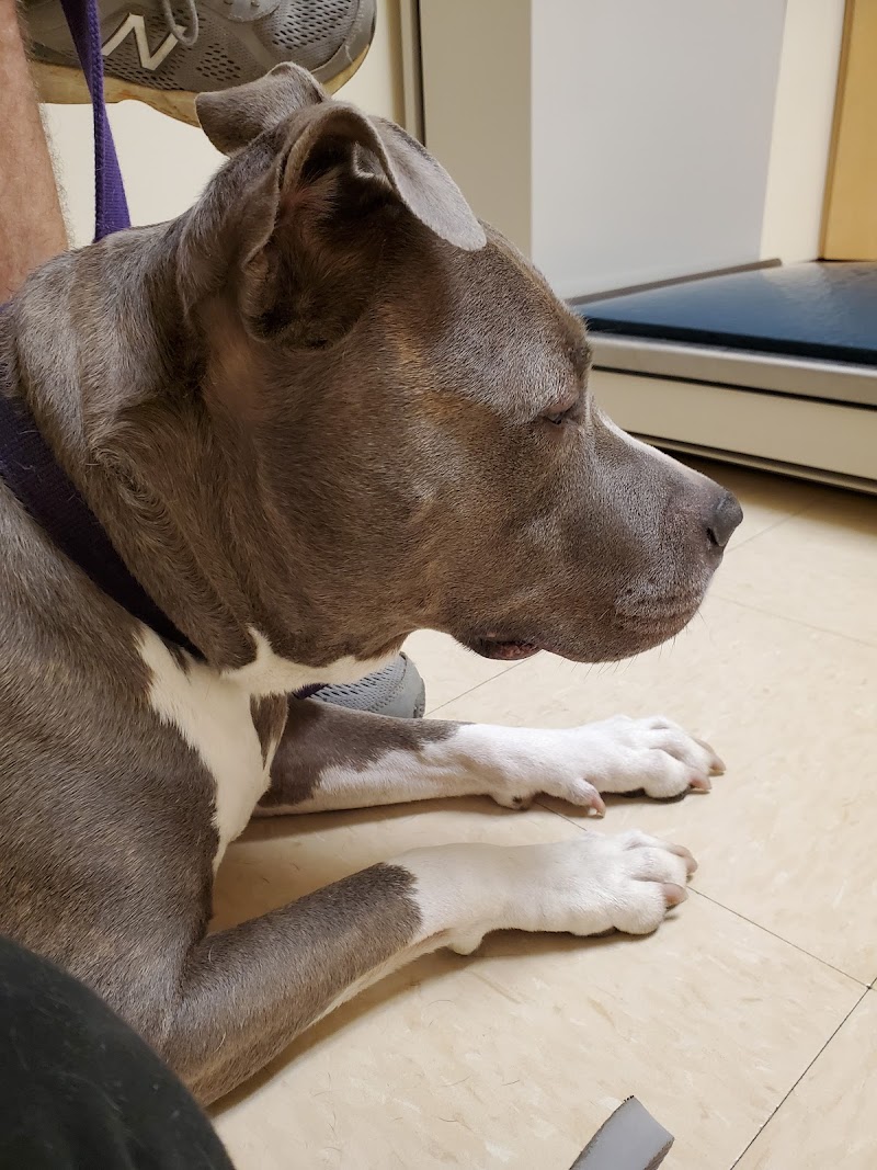 Valley Central Veterinary Referral and Emergency Center