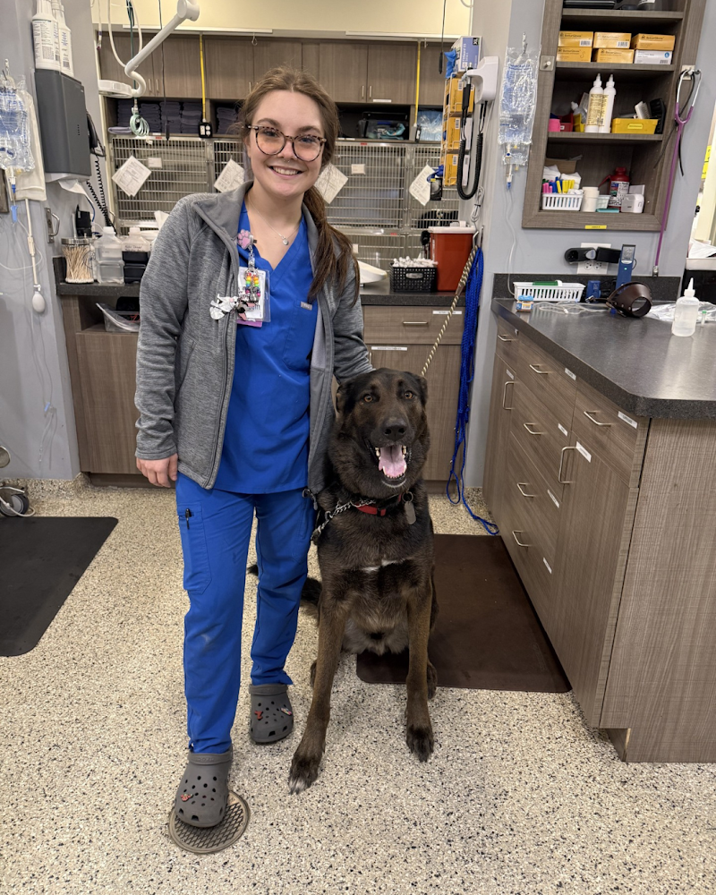Premier Veterinary Group - Orland Park