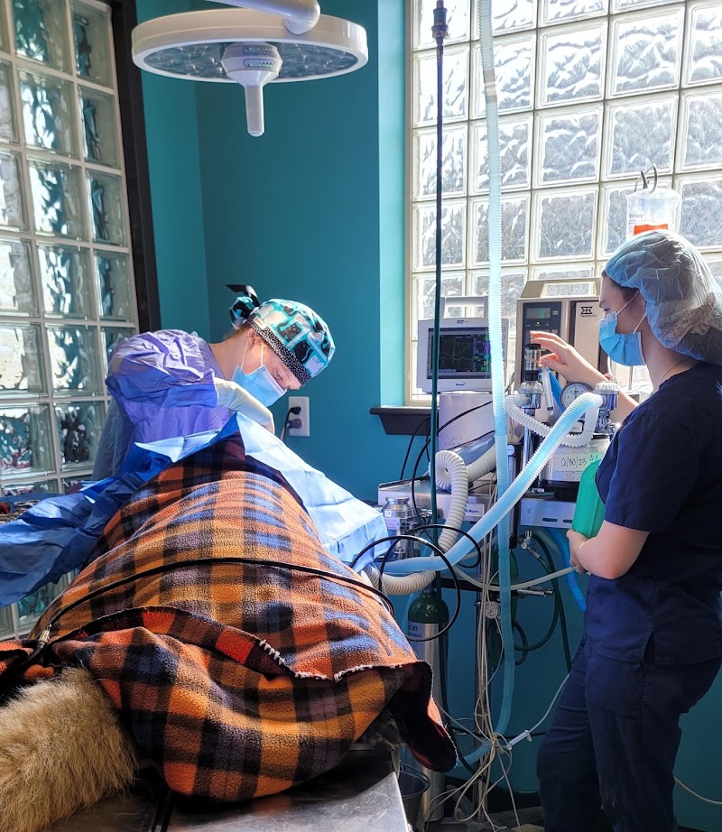 Cypress Veterinary Hospital