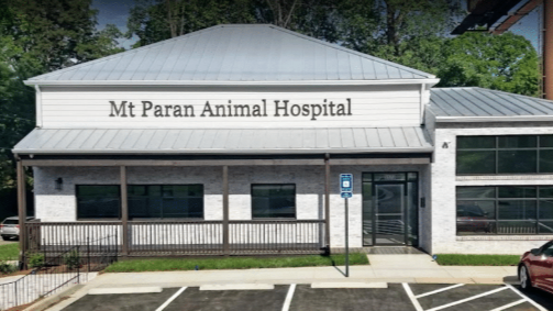 Mt Paran Animal Hospital - Sandy Springs