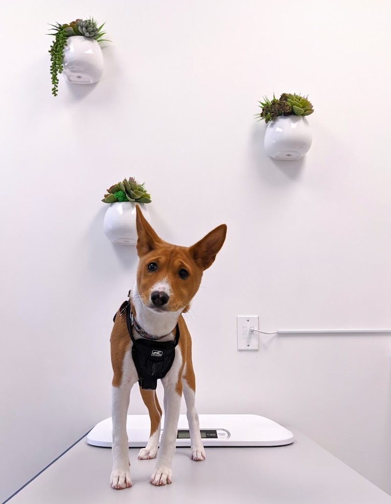 The Castro Animal Hospital