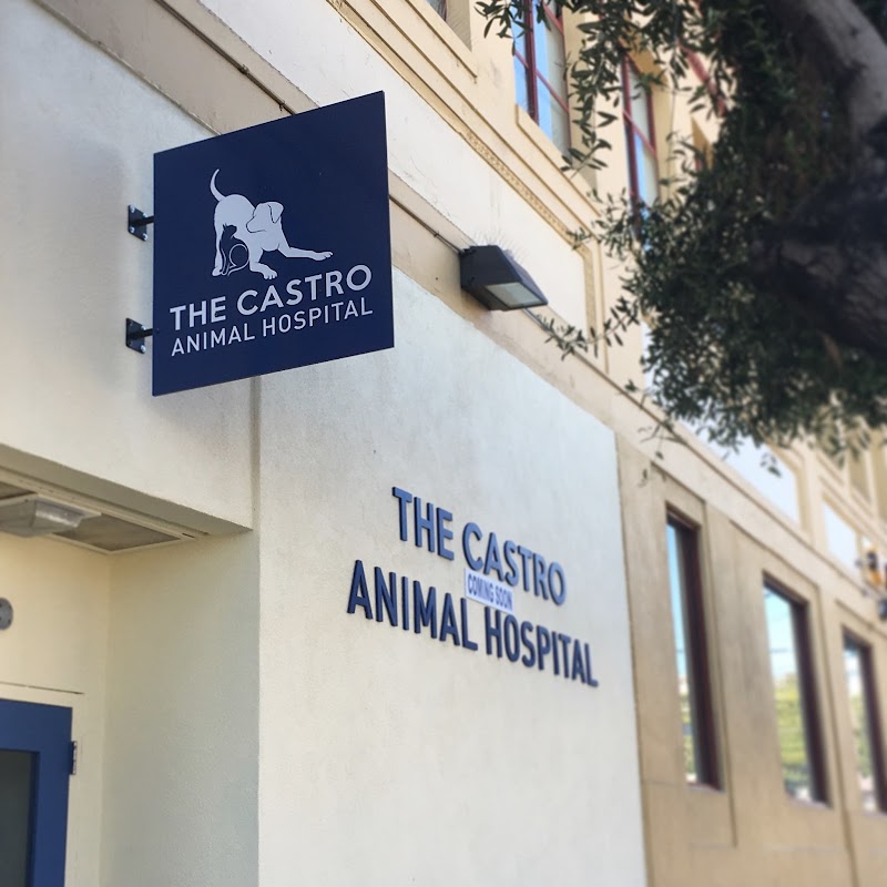 The Castro Animal Hospital
