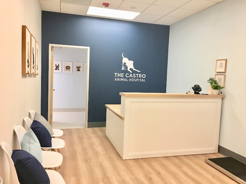 The Castro Animal Hospital