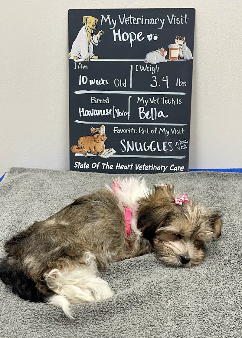 State Of The Heart Veterinary Care