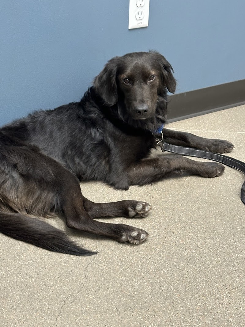 State Of The Heart Veterinary Care
