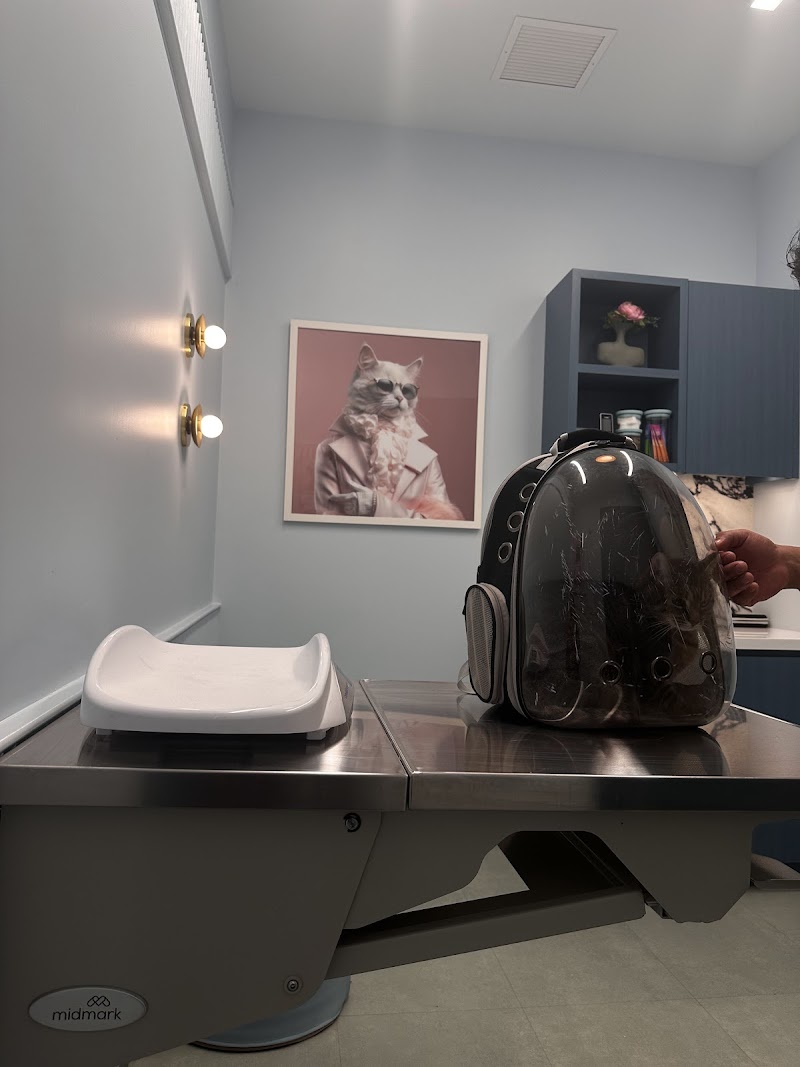 URvet Care Midtown Medical Center