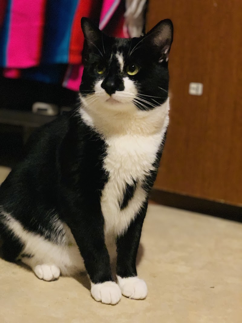 Symphony Veterinary Center