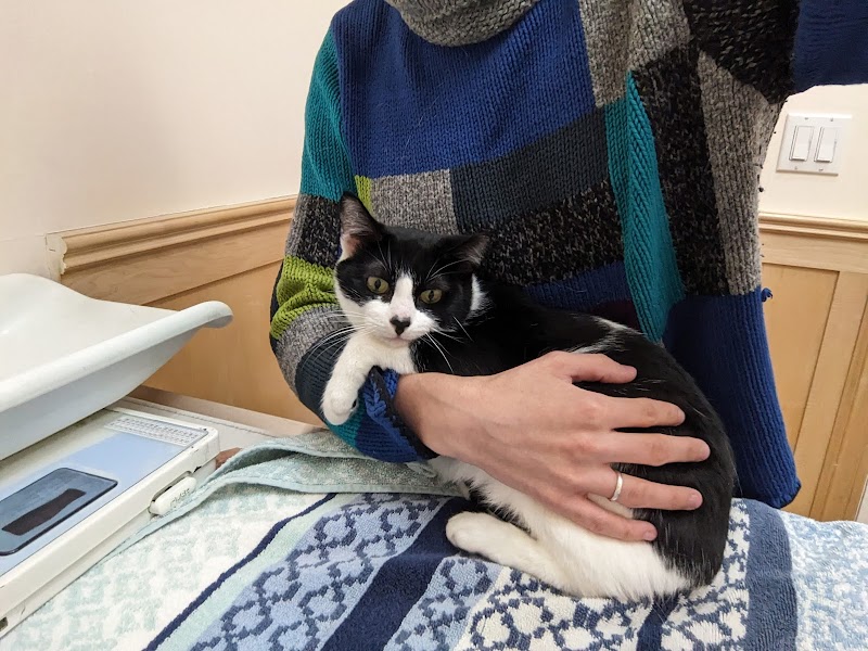 Symphony Veterinary Center