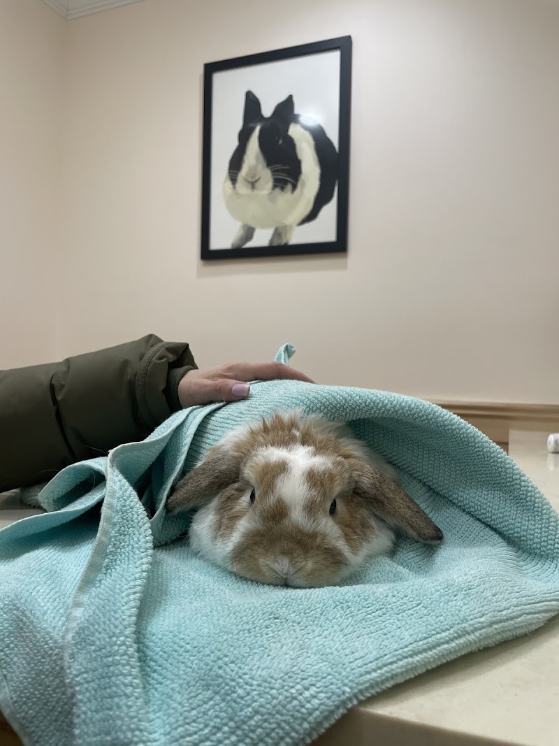 Symphony Veterinary Center