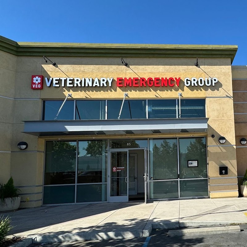 Veterinary Emergency Group - San Jose