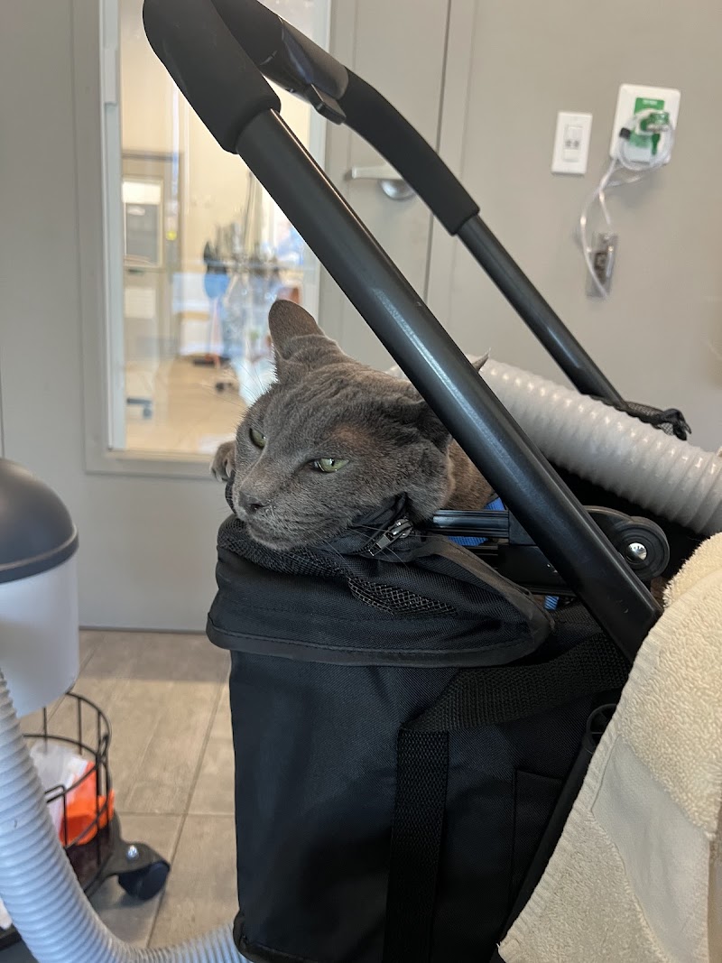 Veterinary Emergency Group