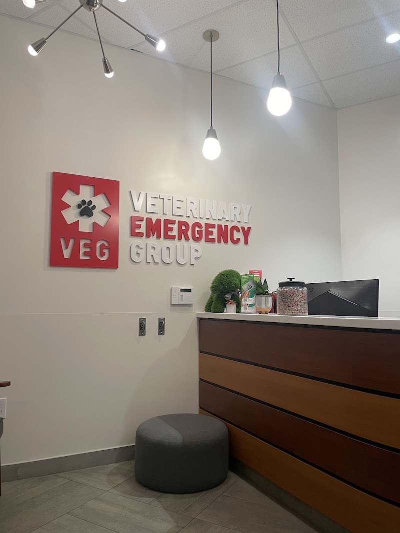 Veterinary Emergency Group