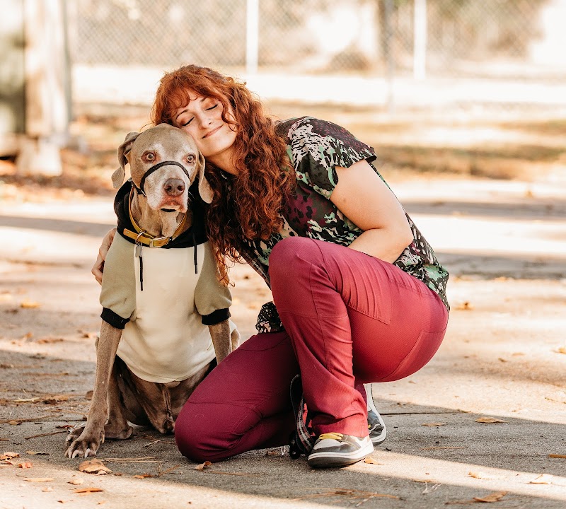 Quicksilver Integrative Veterinary Sports Medicine and Rehabilitation (QIVSMR)