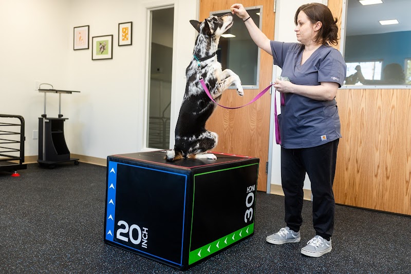 Quicksilver Integrative Veterinary Sports Medicine and Rehabilitation (QIVSMR)