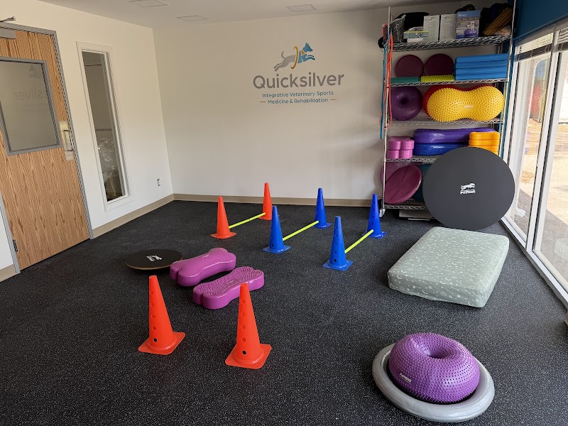 Quicksilver Integrative Veterinary Sports Medicine and Rehabilitation (QIVSMR)