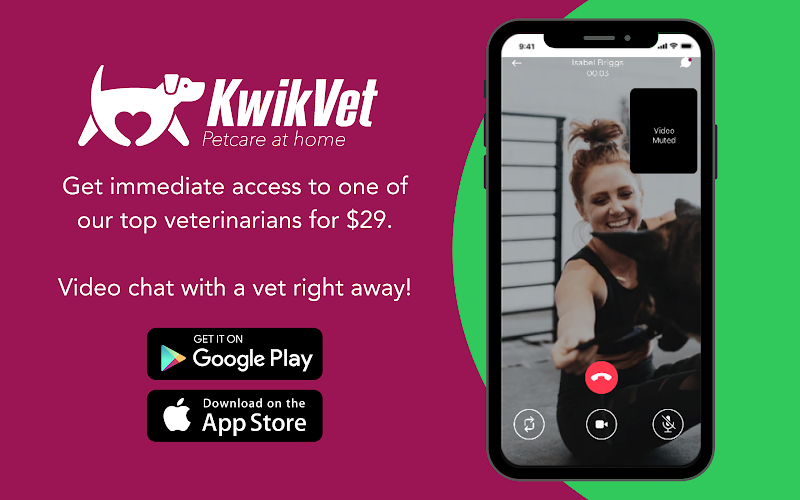 KwikVet - 24 hour veterinarians