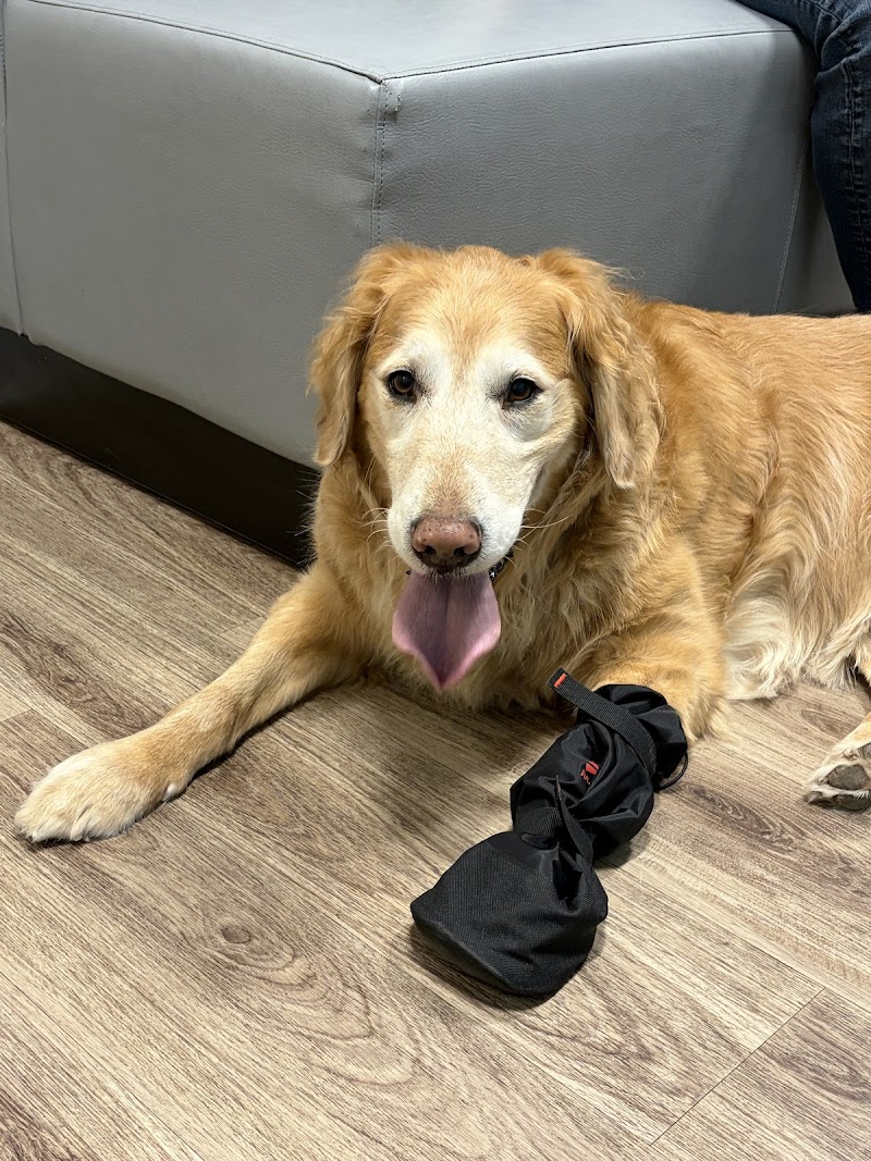 Veterinary Urgent Care - Nashua