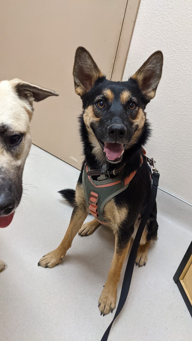 Live Oak Veterinary Hospital
