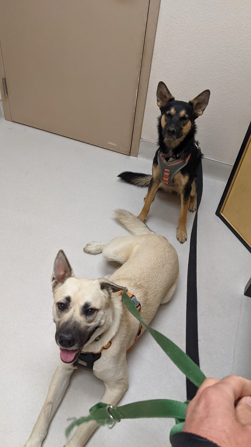 Live Oak Veterinary Hospital