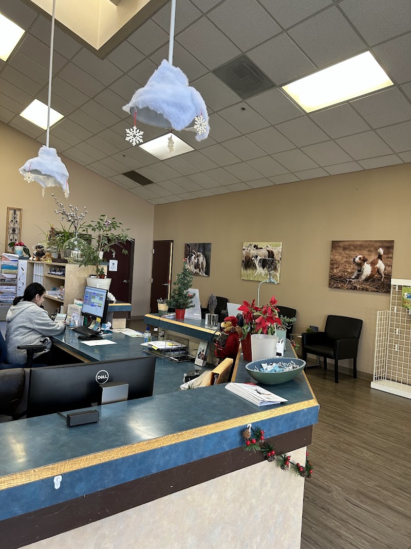 Live Oak Veterinary Hospital