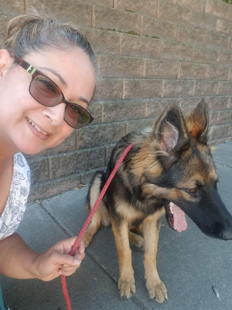 VCA Ark Animal Hospital