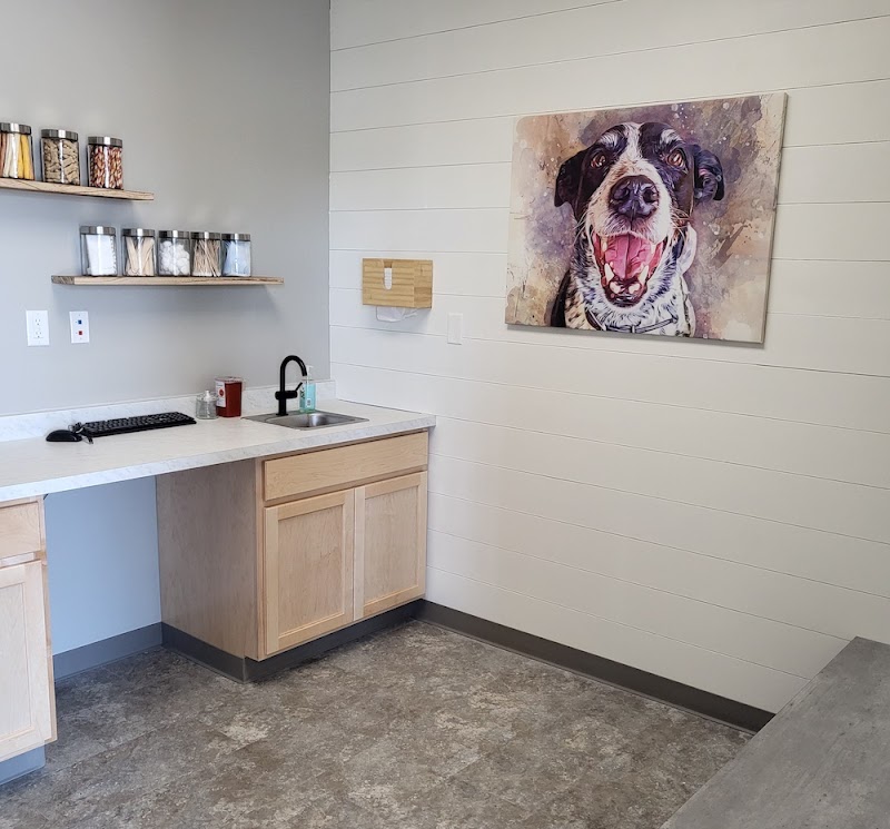 Twin Peaks Veterinary Dental & Surgery - Evans