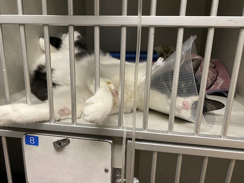 Pets On Broadway Animal Hospital