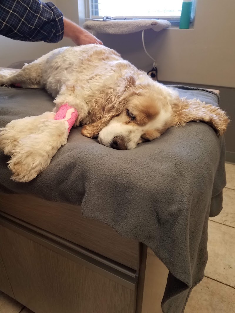Pets On Broadway Animal Hospital