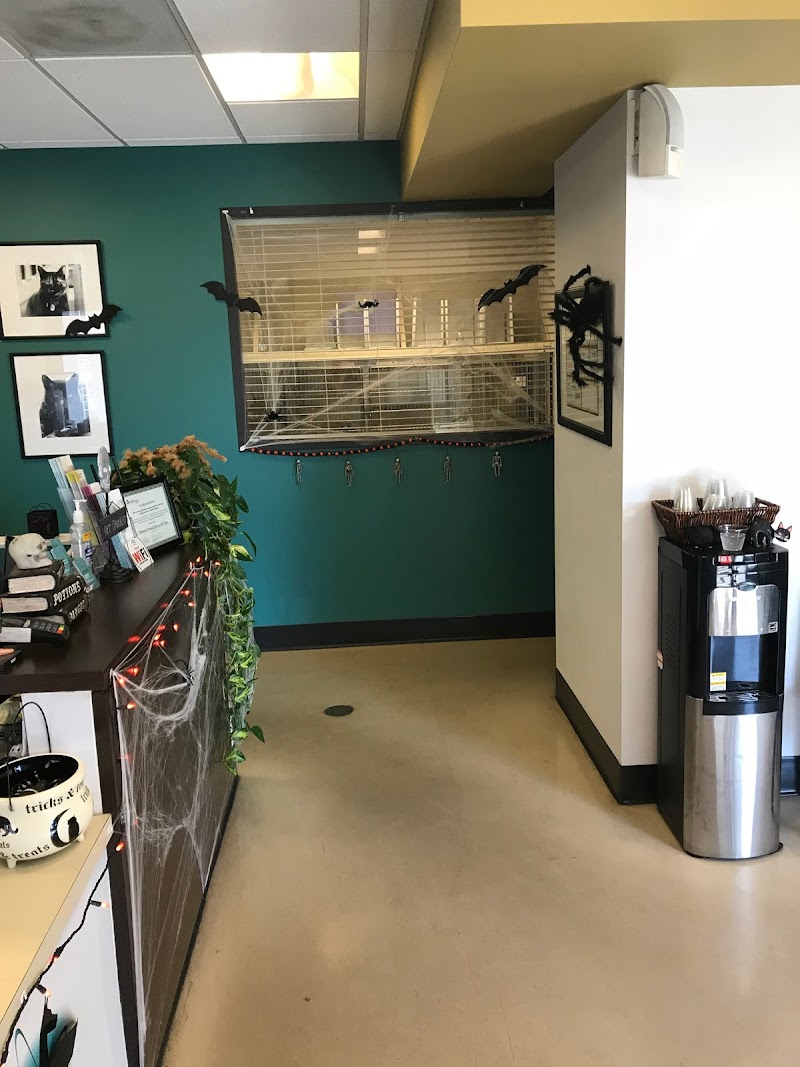 Veterinary Imaging Center of San Diego