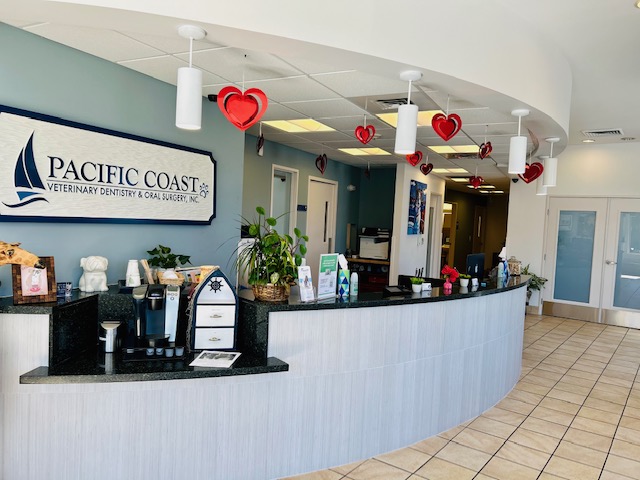 Pacific Coast Veterinary Dentistry & Oral Surgery