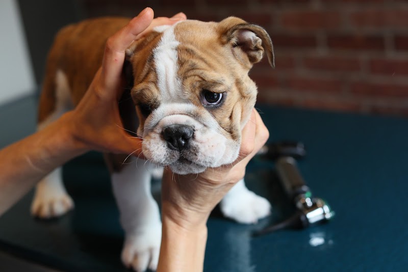 Back Bay Veterinary Clinic