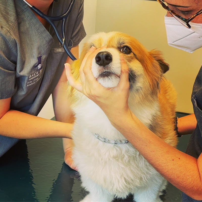 Back Bay Veterinary Clinic