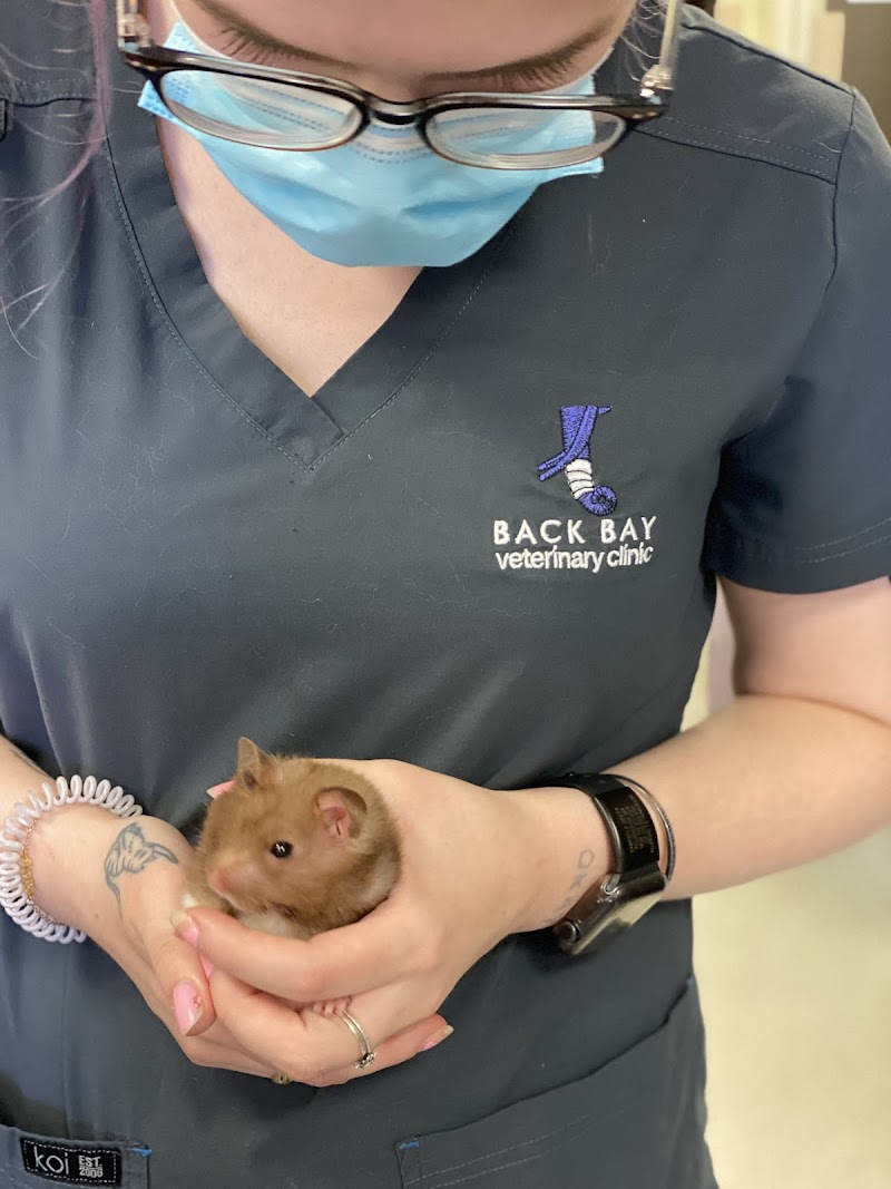Back Bay Veterinary Clinic
