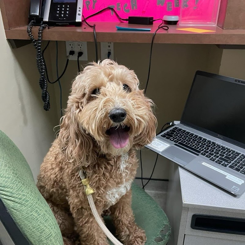 Back Bay Veterinary Clinic